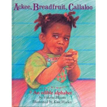 9780333748879 thumbnail