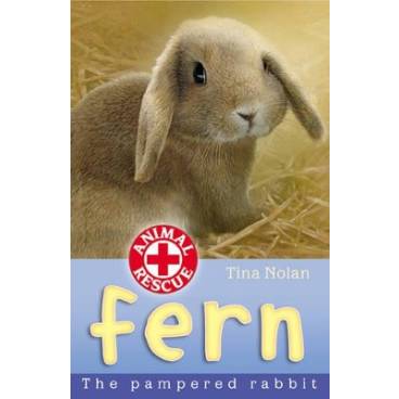 Fern: The Pampered Rabbit