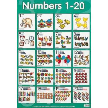 9780721755045 thumbnail