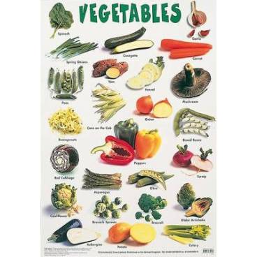 9780721755243 thumbnail