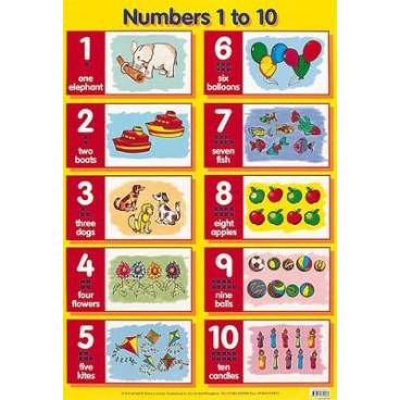 9780721755366 thumbnail