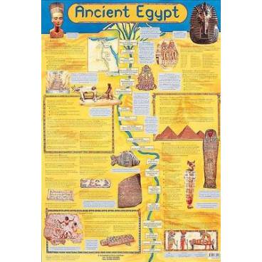 9780721756028 thumbnail