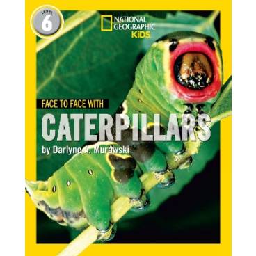 9780008358129 thumbnail