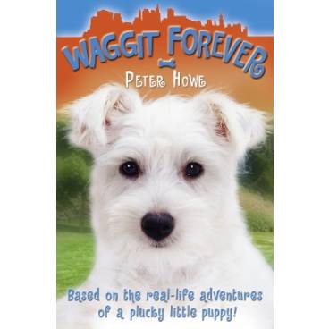 9780007391370 thumbnail