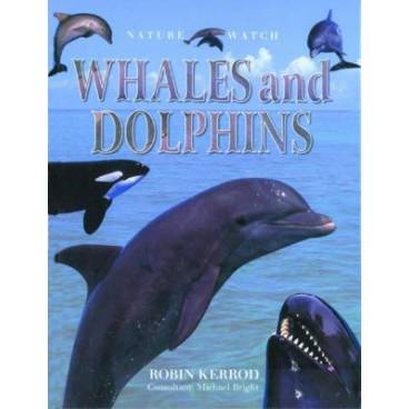 9780754818755 thumbnail