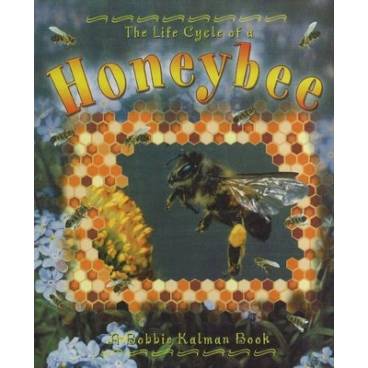 9780778706946 thumbnail