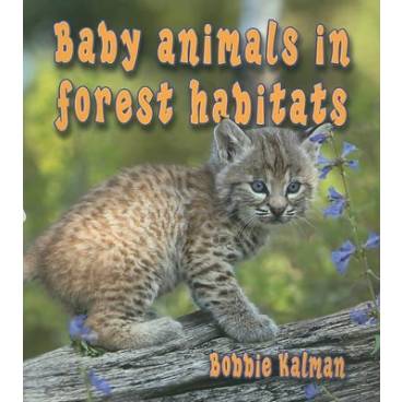 9780778777397 thumbnail