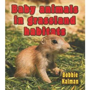 9780778777403 thumbnail