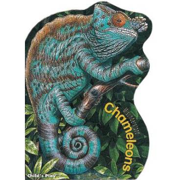 9780859535649 thumbnail