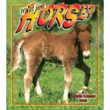 9780865059610 thumbnail