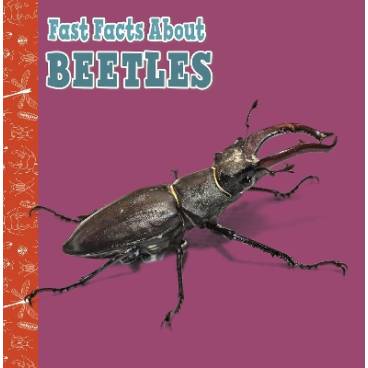 9781398213272 thumbnail