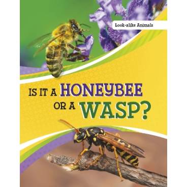 9781398225671 thumbnail