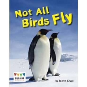 Not All Birds Fly