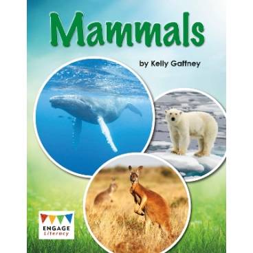 9781474731669 thumbnail