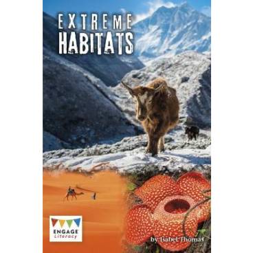 9781474746588 thumbnail