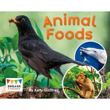 9781474755931 thumbnail