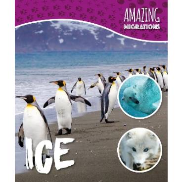 9781786372246 thumbnail