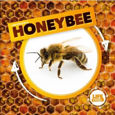 9781786372819 thumbnail