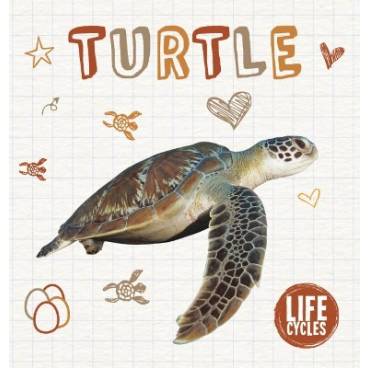 9781786373779 thumbnail