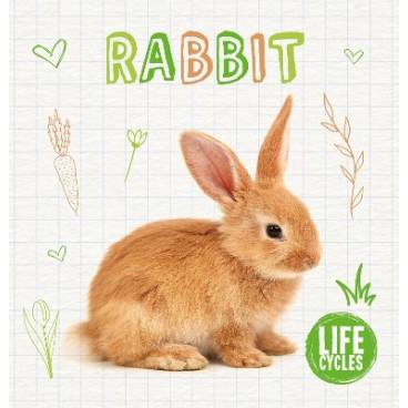 9781786377319 thumbnail