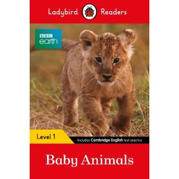 9780008540364 thumbnail