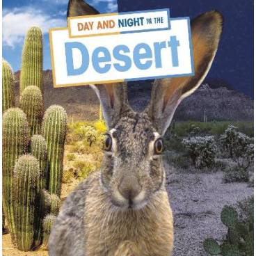 Day and Night in the Desert
