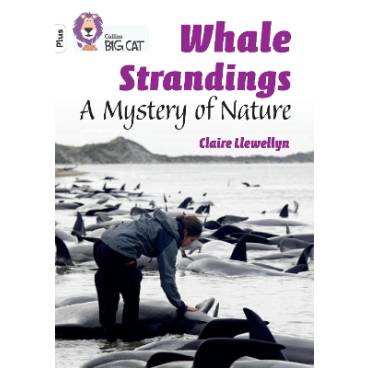 9780008485573 thumbnail