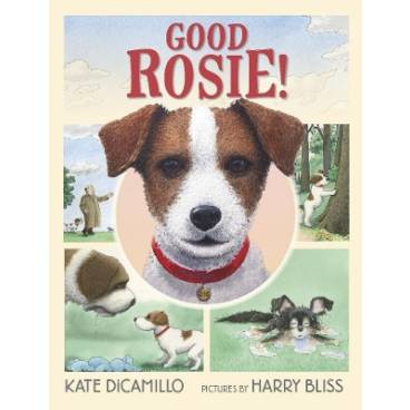 9781406383577 thumbnail