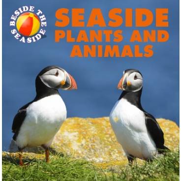 9781445137674 thumbnail