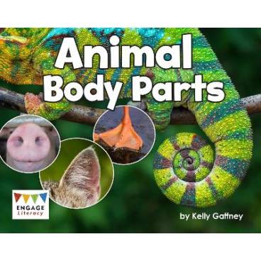 9781474783958 thumbnail