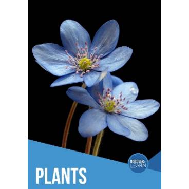 9781786370600 thumbnail