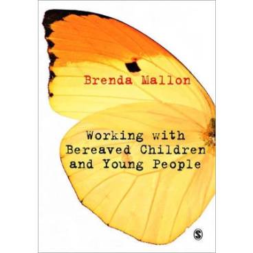 9781849203715 thumbnail