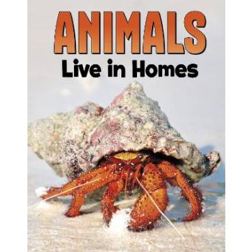 9781398250222 thumbnail