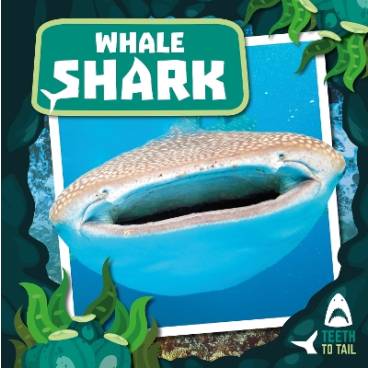 9781786376138 thumbnail