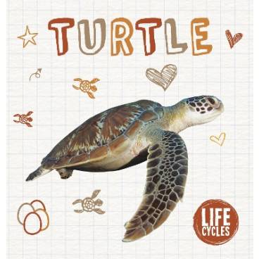 9781786373793 thumbnail