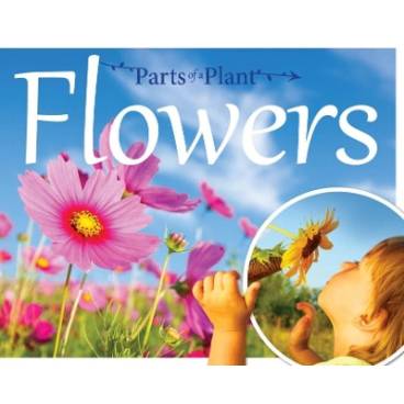 9781910512517 thumbnail