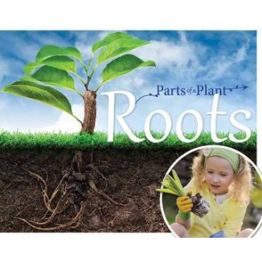 9781910512531 thumbnail