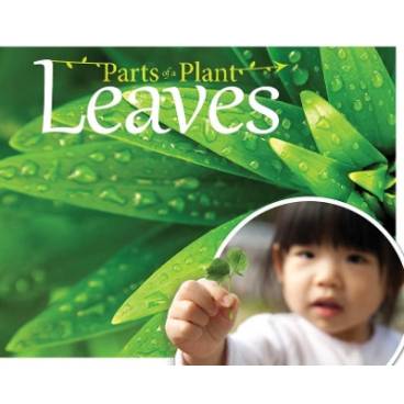 9781910512524 thumbnail