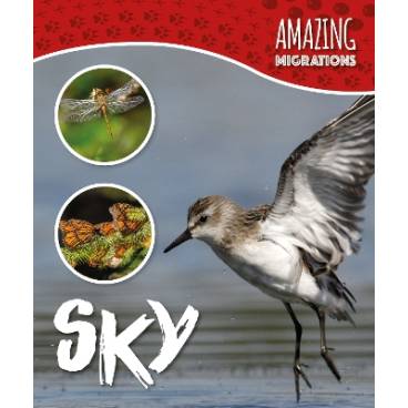 9781786372239 thumbnail