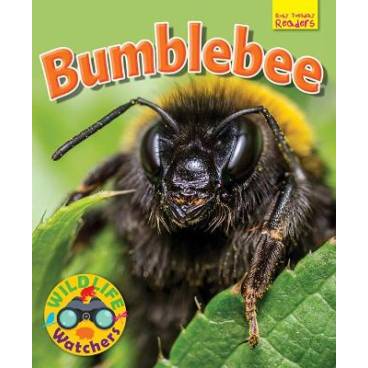 9781911341222 thumbnail