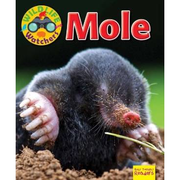 9781911341253 thumbnail