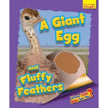 9781911341581 thumbnail