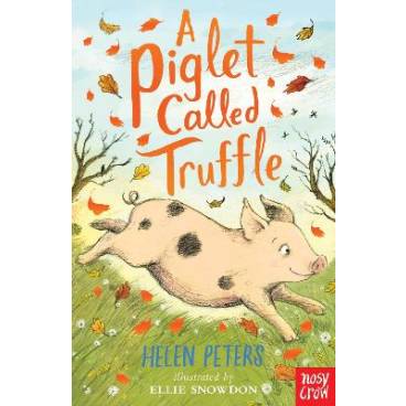 9780857637734 thumbnail