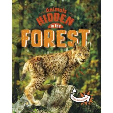 Animals Hidden in the Forest
