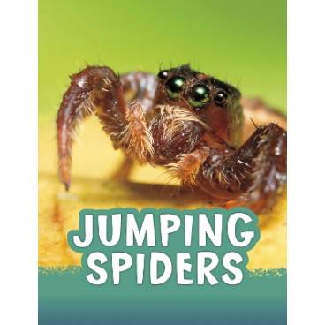 9781398213128 thumbnail