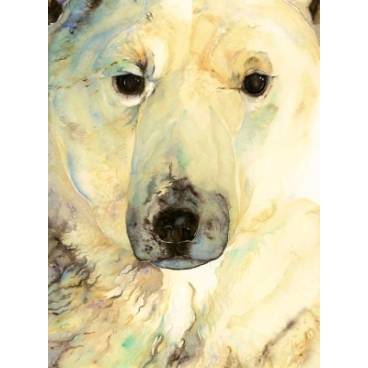 9781912213368 thumbnail