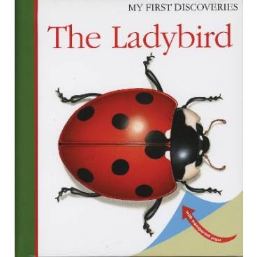 9781851033843 thumbnail