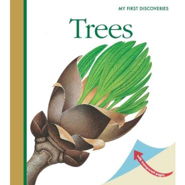 9781851034017 thumbnail