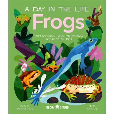 9781838992880 thumbnail