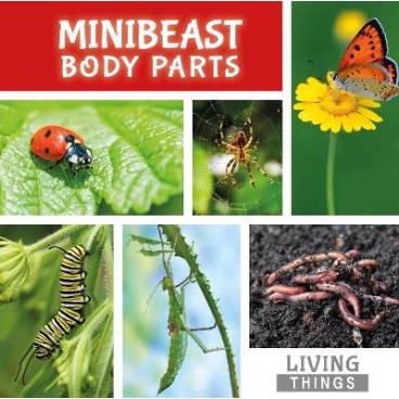 9781786370785 thumbnail